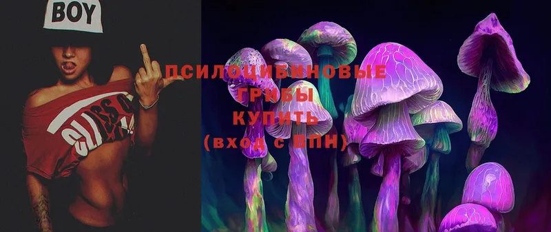 наркошоп  Трубчевск  Галлюциногенные грибы Magic Shrooms 